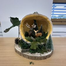 IMG_3040
