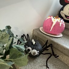 IMG_3047