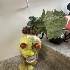 IMG_3048