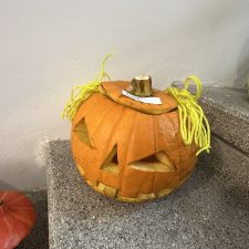 IMG_3049
