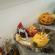 IMG_3051