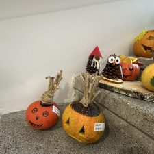 IMG_3052